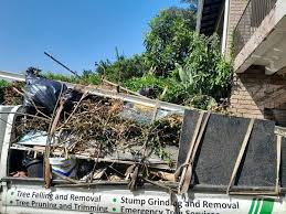 Best Commercial Junk Removal  in Imlay City, MI