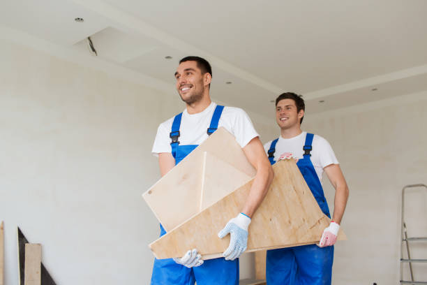 Best Hoarding Cleanup  in Imlay City, MI