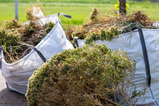 Demolition Debris Removal in Imlay City, MI