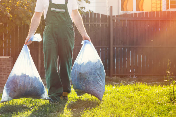 Best Yard Waste Removal  in Imlay City, MI